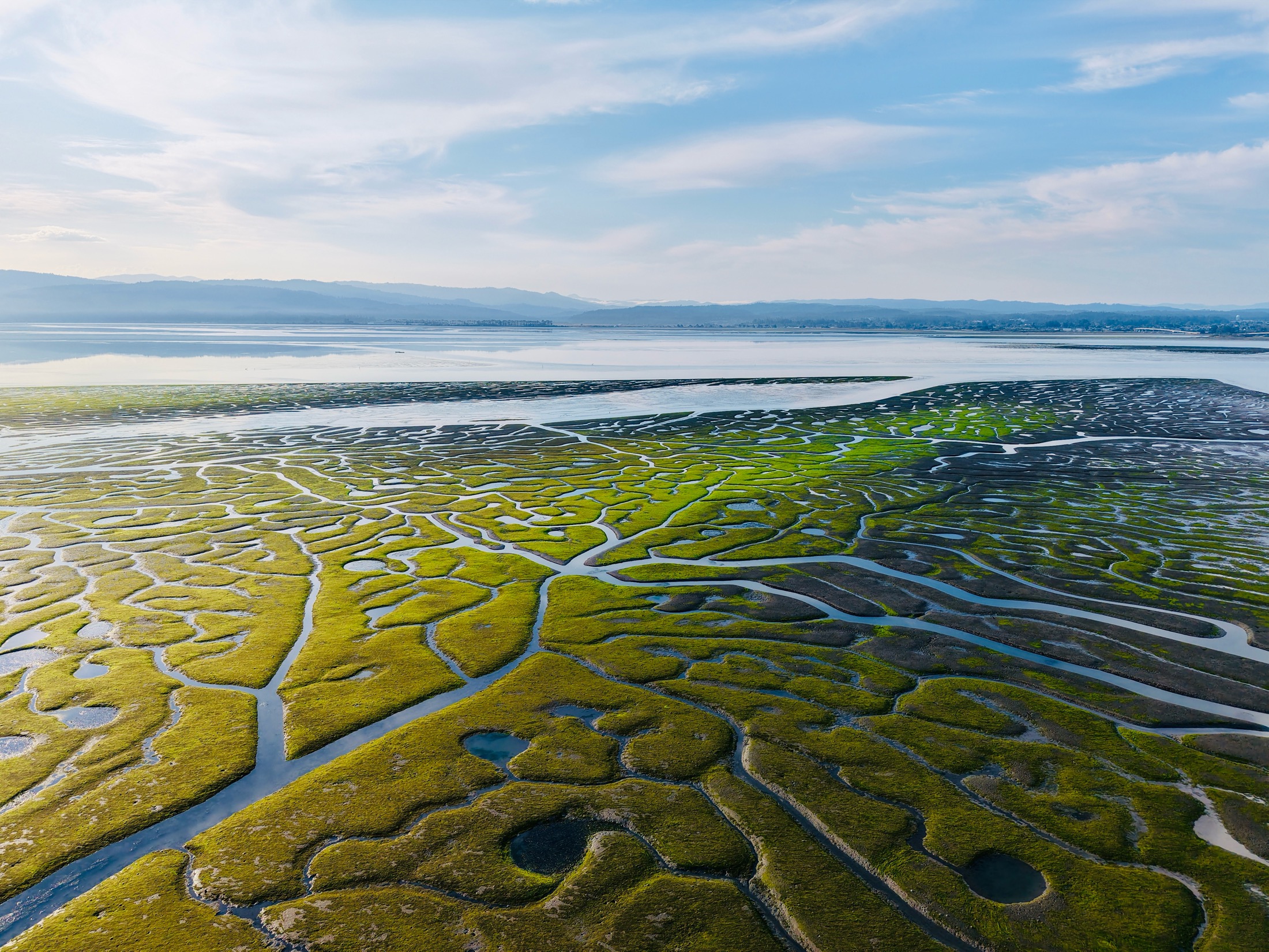 Aerial drone photograph of tidal channels, marshland, water, and distant hills.