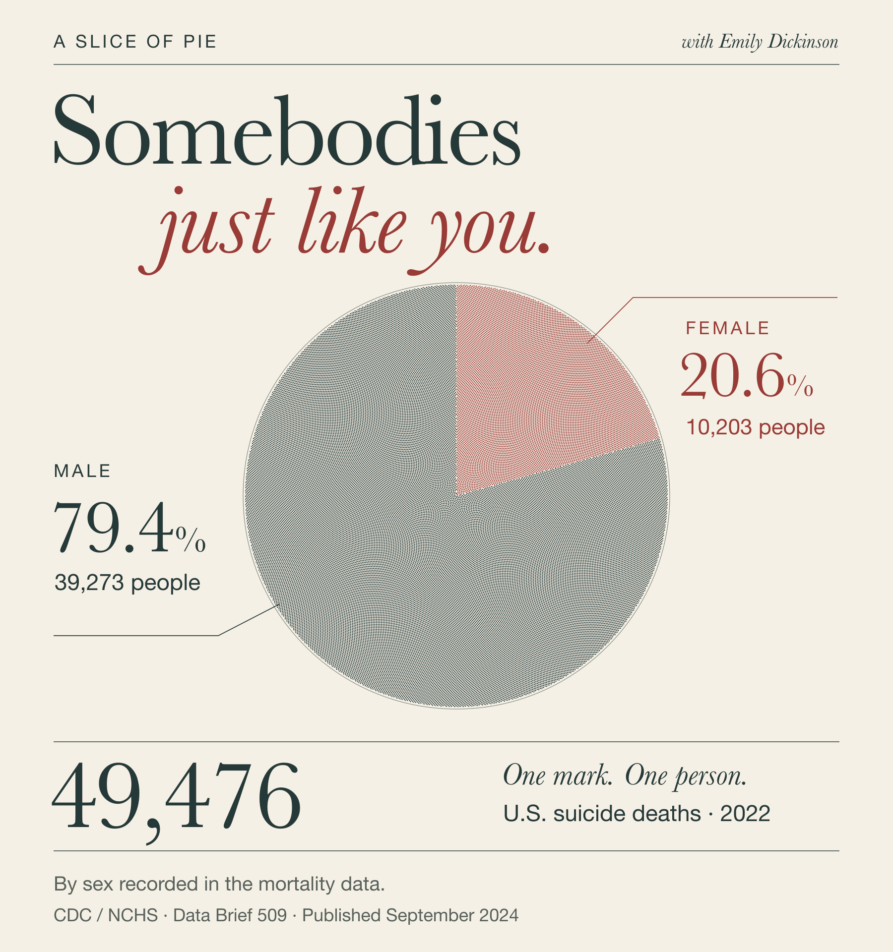 Somebodies just like you. A pie of 49,476 marks, one for each recorded U.S. suicide death in 2022. Male: 39,273, 79.4 percent. Female: 10,203, 20.6 percent.